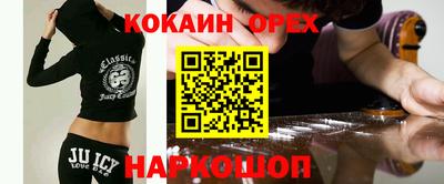ГАЛЛЮЦИНОГЕННЫЕ ГРИБЫ Кингисепп