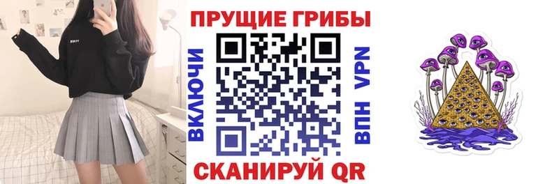 закладка  Барабинск  Галлюциногенные грибы прущие грибы 
